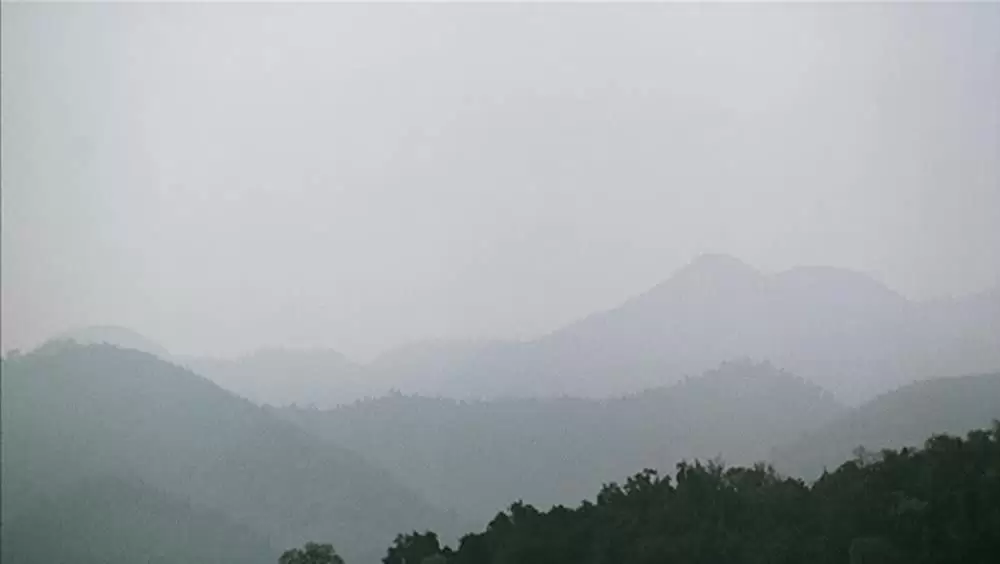 トロピカル・マラディの画像