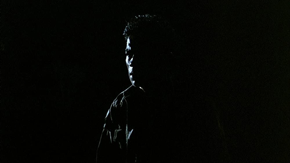 トロピカル・マラディの画像