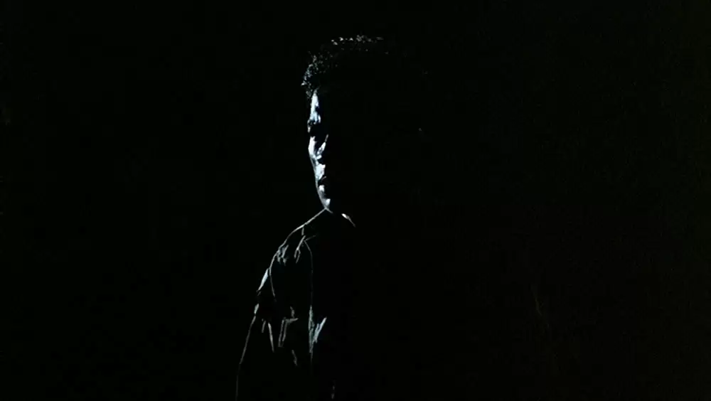 トロピカル・マラディの画像