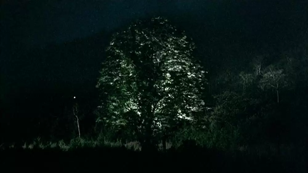 トロピカル・マラディの画像