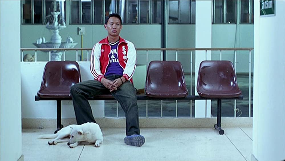 トロピカル・マラディの画像