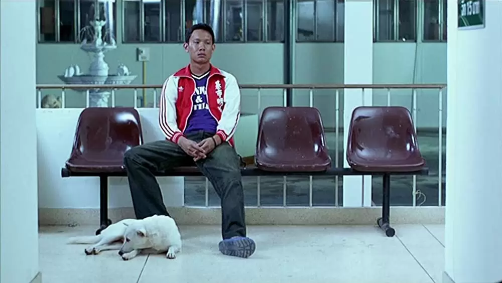 トロピカル・マラディの画像