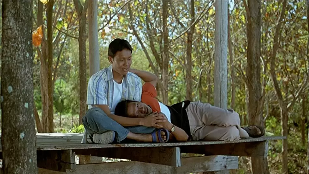 トロピカル・マラディの画像