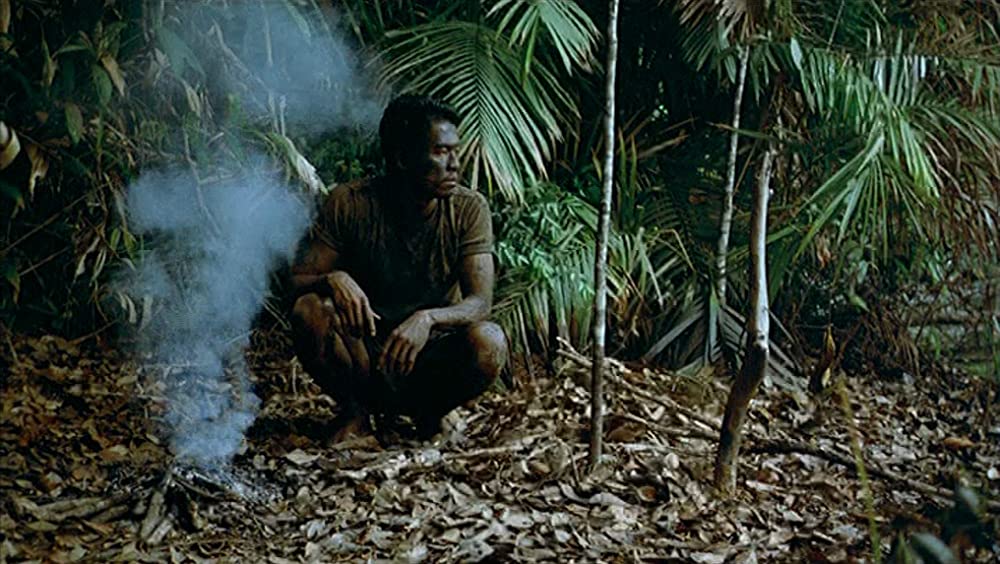 トロピカル・マラディの画像