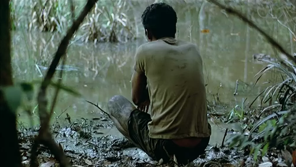 トロピカル・マラディの画像