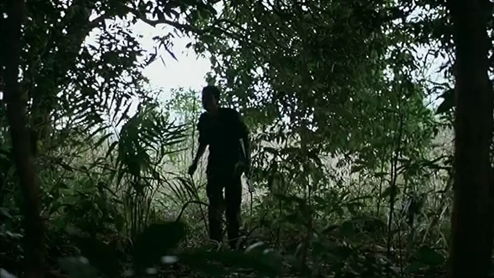 トロピカル・マラディの画像