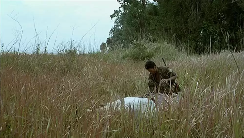 トロピカル・マラディの画像