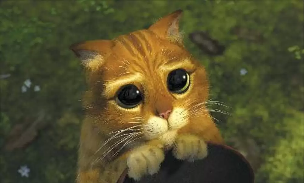 シュレック2の画像