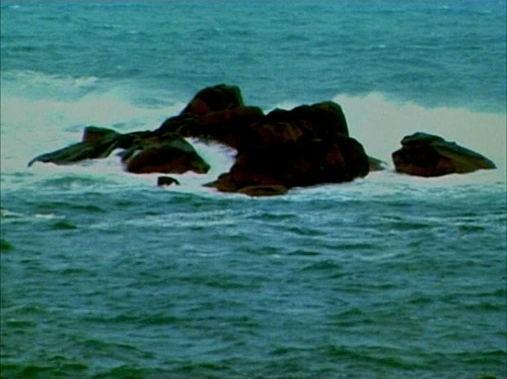 愛の世紀の画像