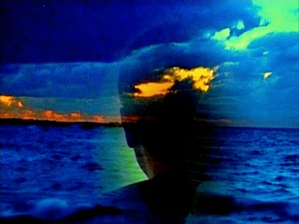 「愛の世紀」の画像