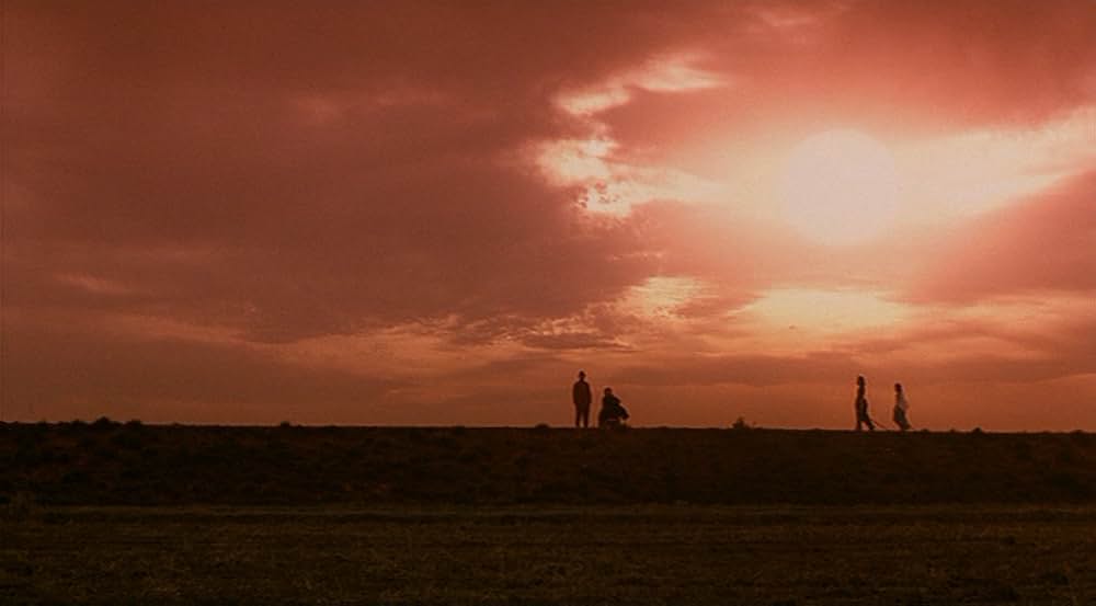 Dolls ドールズの画像