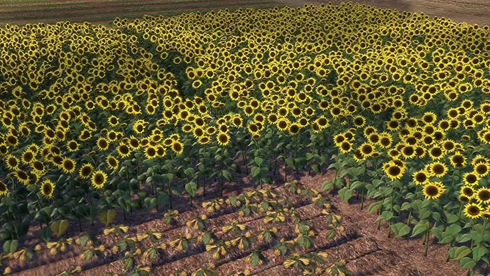 シュレックの画像