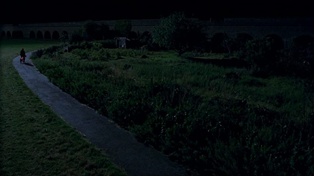 スパイダー／少年は蜘蛛にキスをするの画像