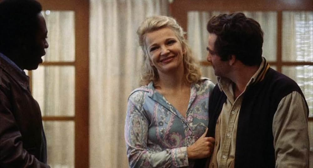 こわれゆく女の画像