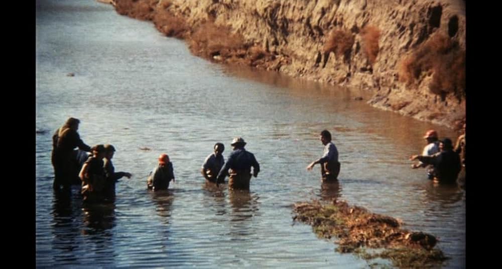 こわれゆく女の画像