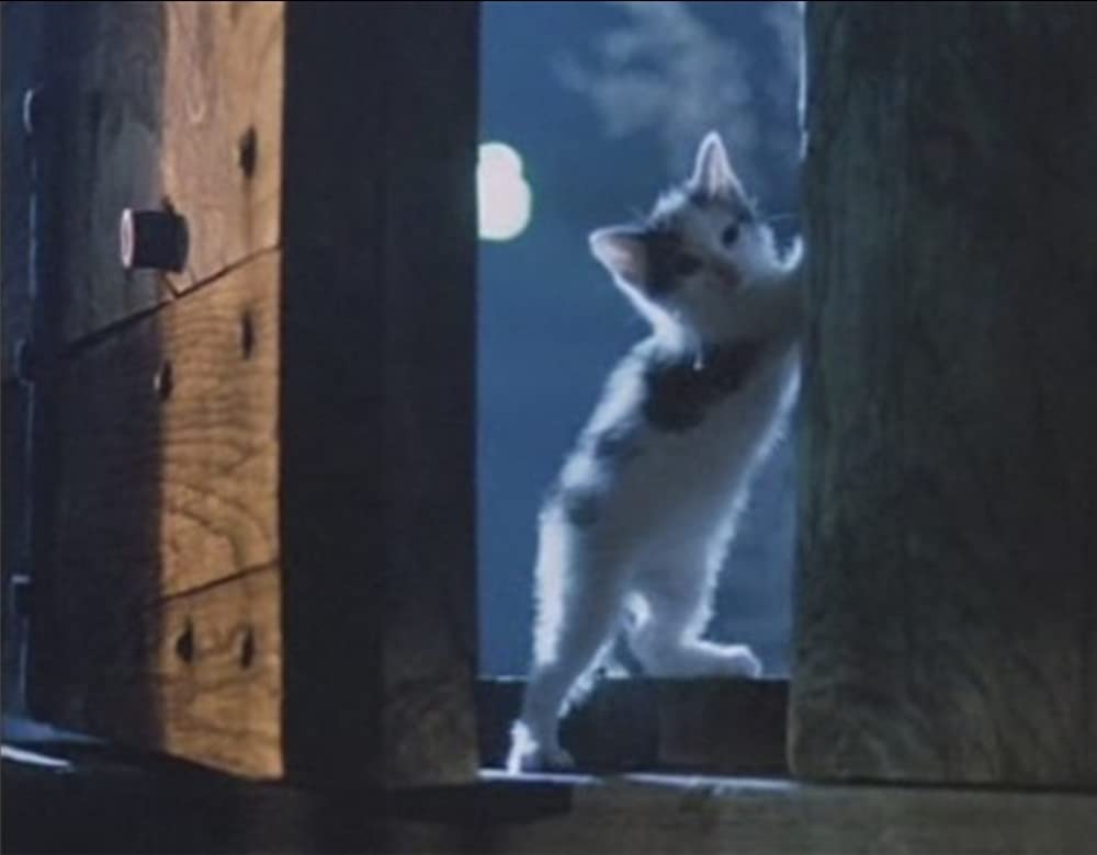 ジプシーのときの画像