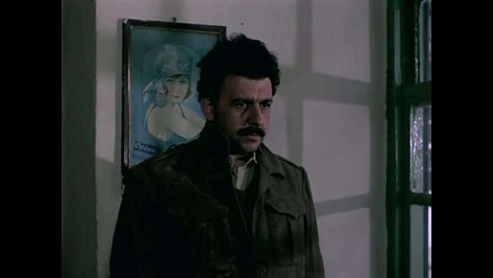 旅芸人の記録の画像