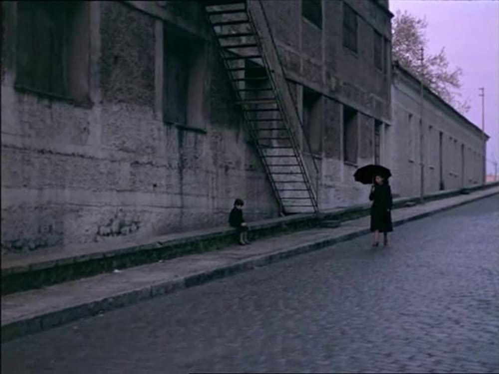 旅芸人の記録の画像