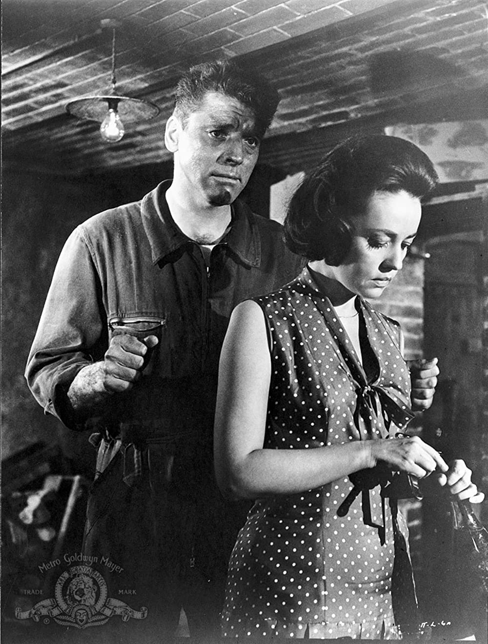 大列車作戦の画像