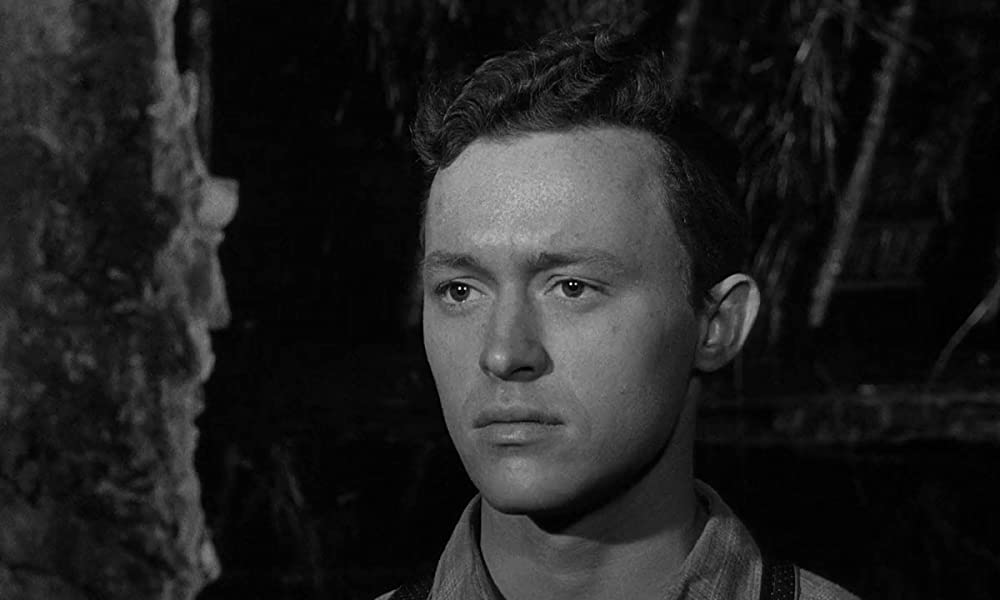 大列車作戦の画像