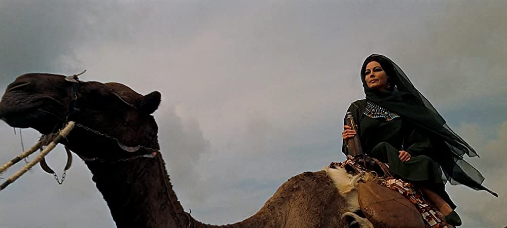 天地創造の画像