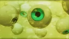 イノセンスの画像