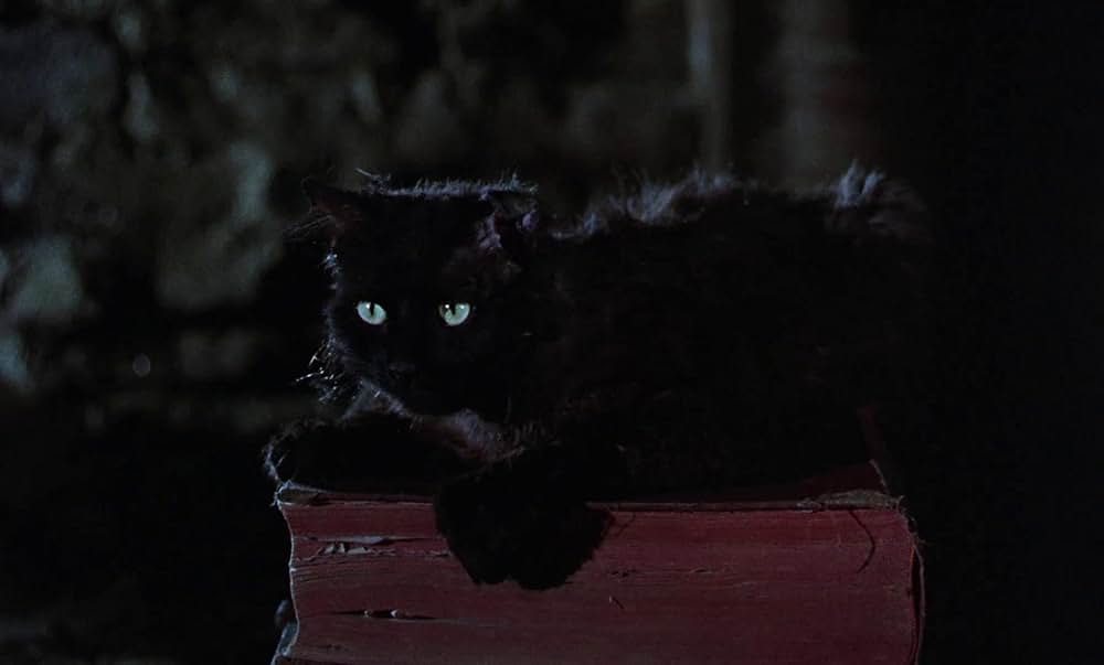 ベッドかざりとほうきの画像