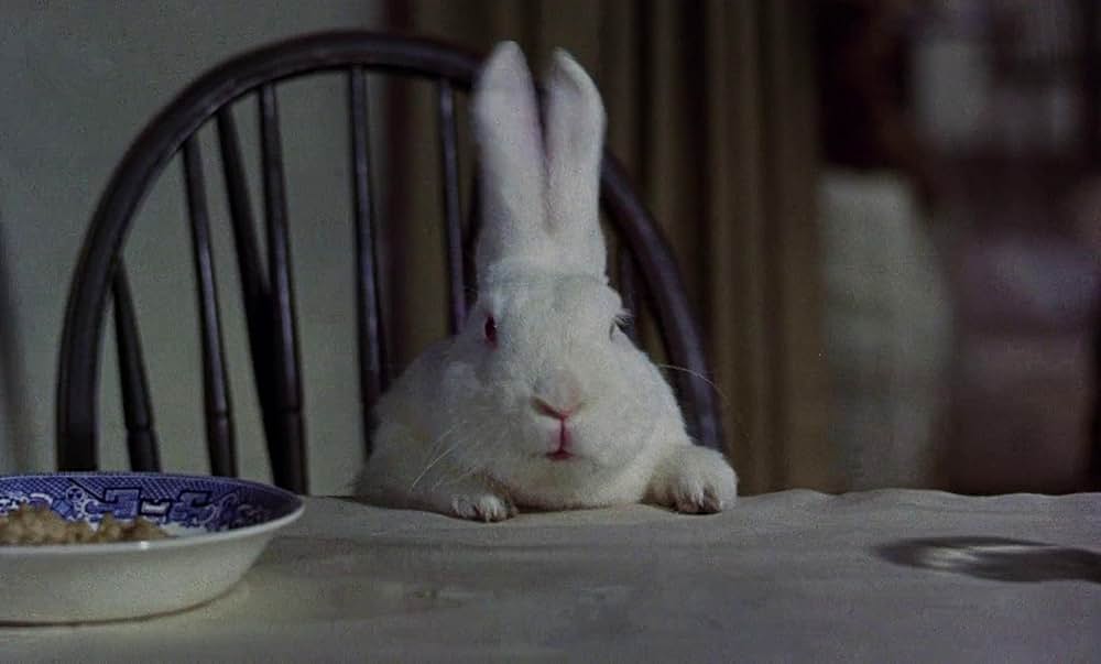 ベッドかざりとほうきの画像