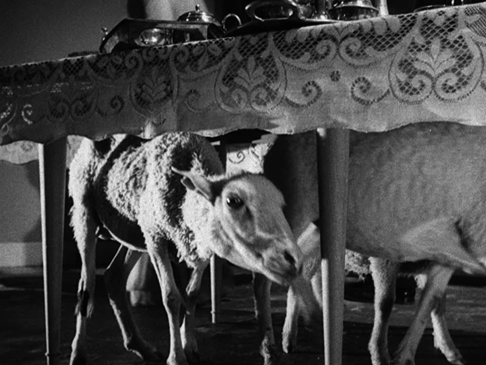 皆殺しの天使の画像