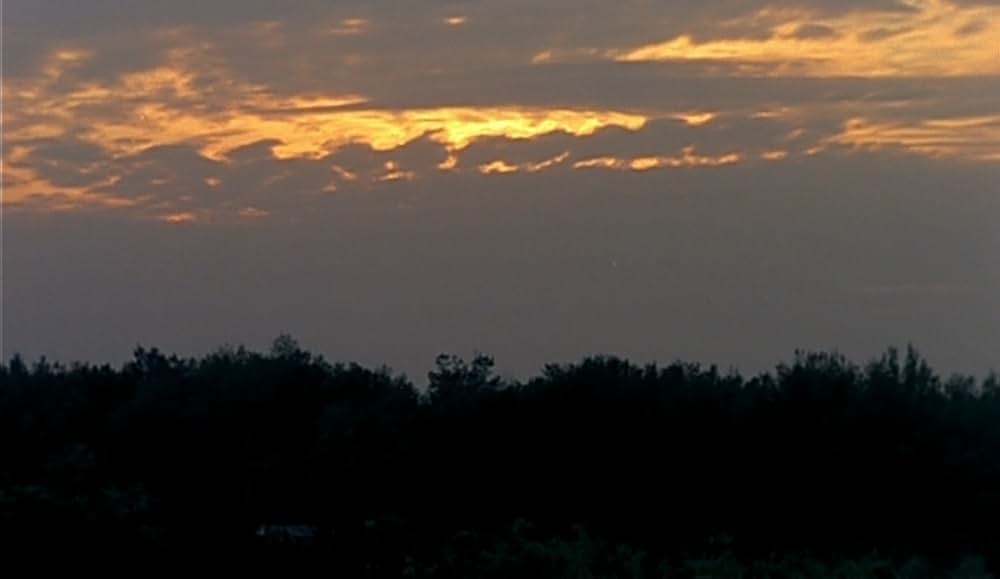 恋恋風塵（れんれんふうじん）の画像