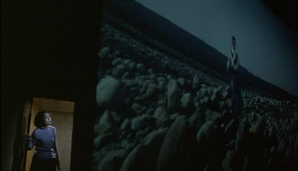 「楽日」チェン・シャンチーの画像