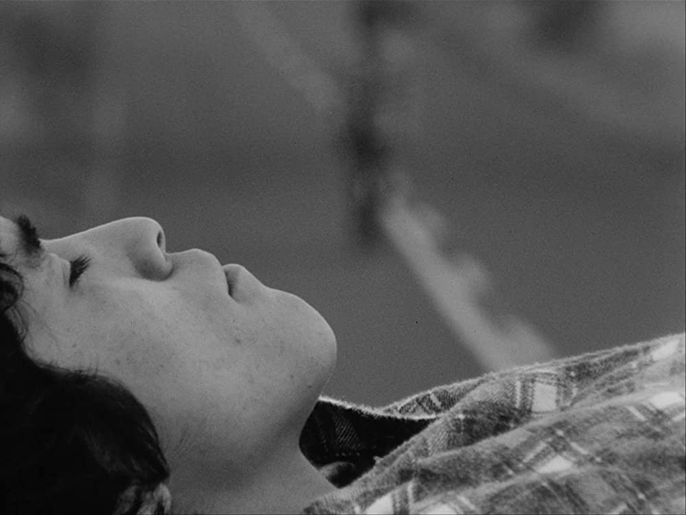 マラノーチェの画像