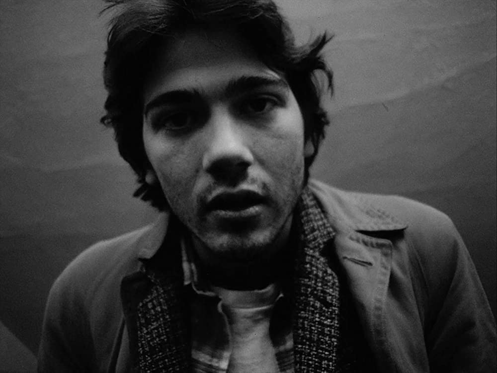 マラノーチェの画像