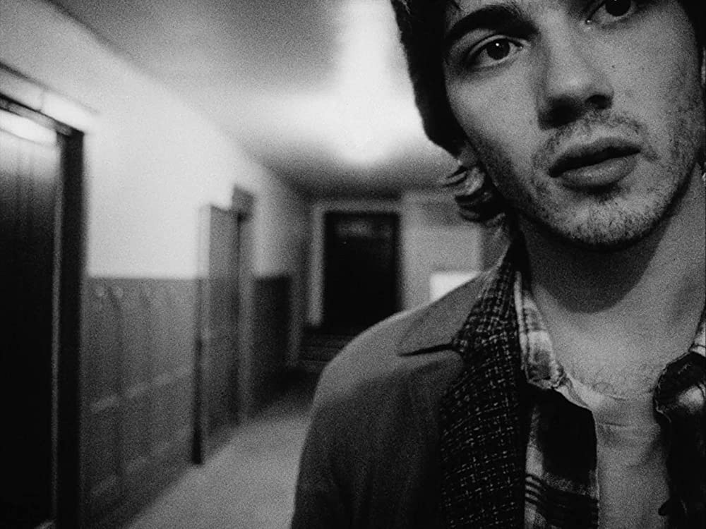 マラノーチェの画像