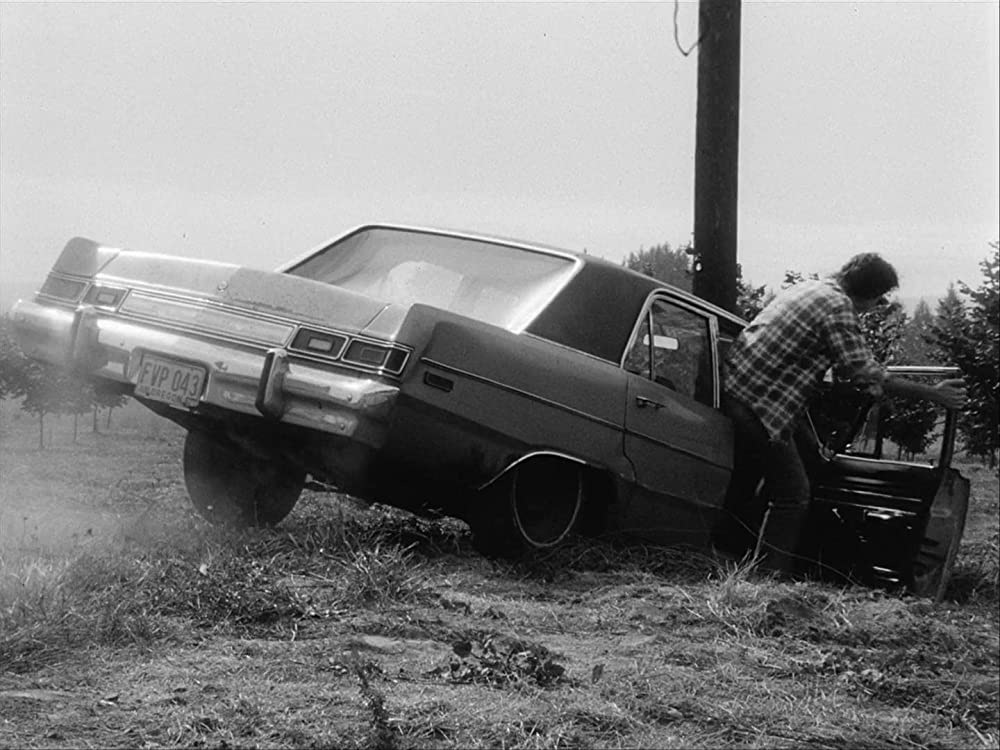 マラノーチェの画像