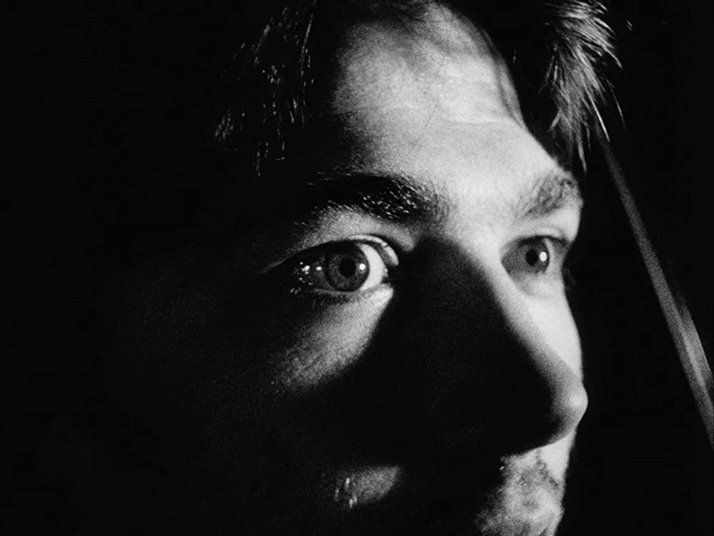 マラノーチェの画像