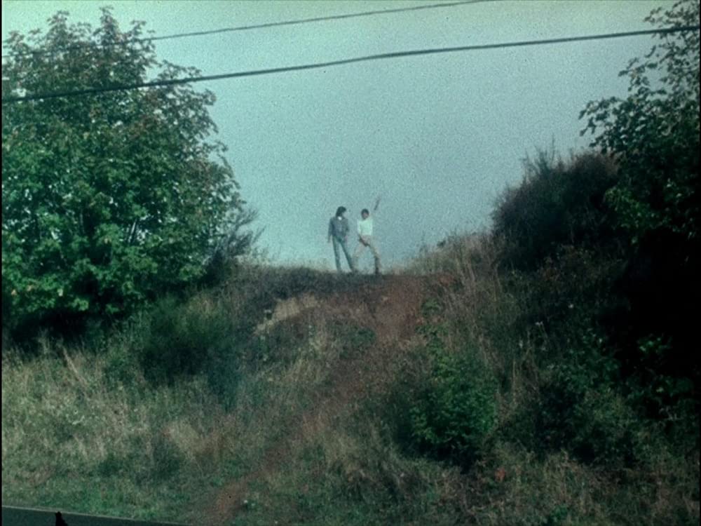 マラノーチェの画像