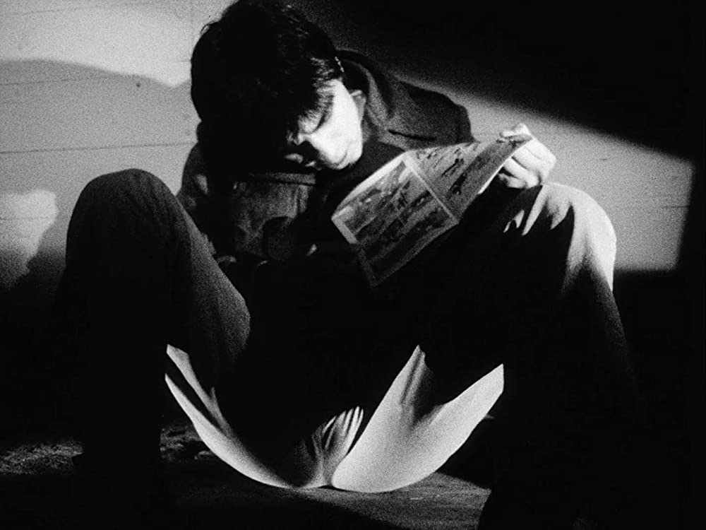 マラノーチェの画像