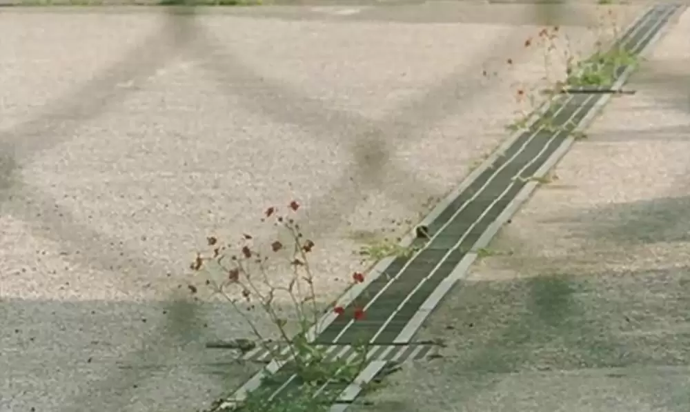 誰も知らないの画像