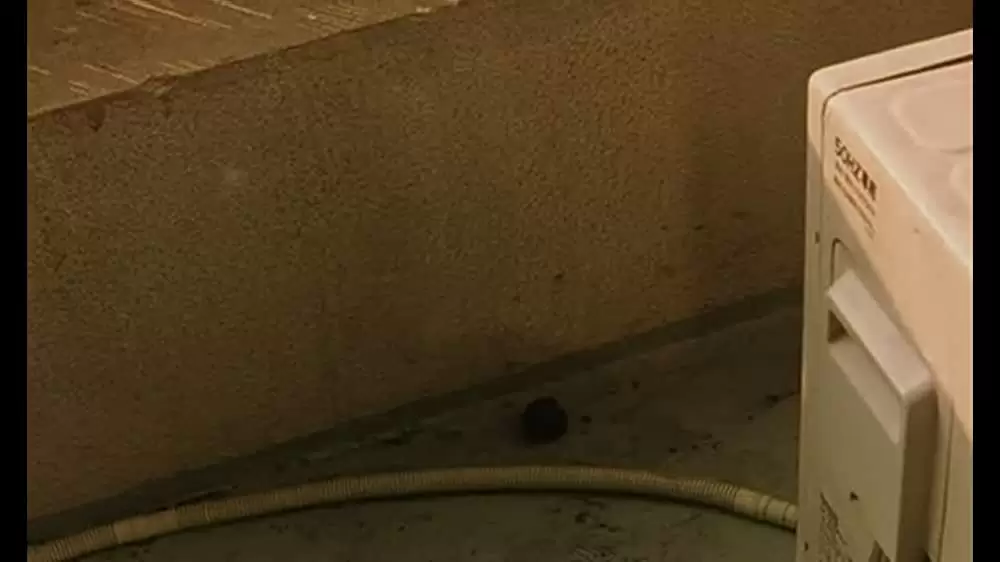 誰も知らないの画像