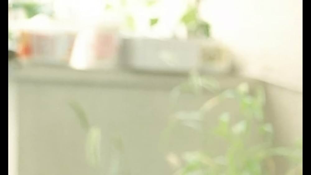 誰も知らないの画像