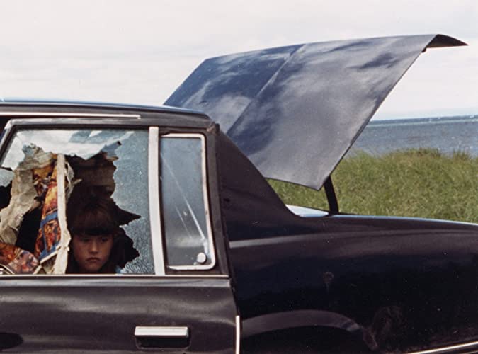 クリーン、シェーブンの画像