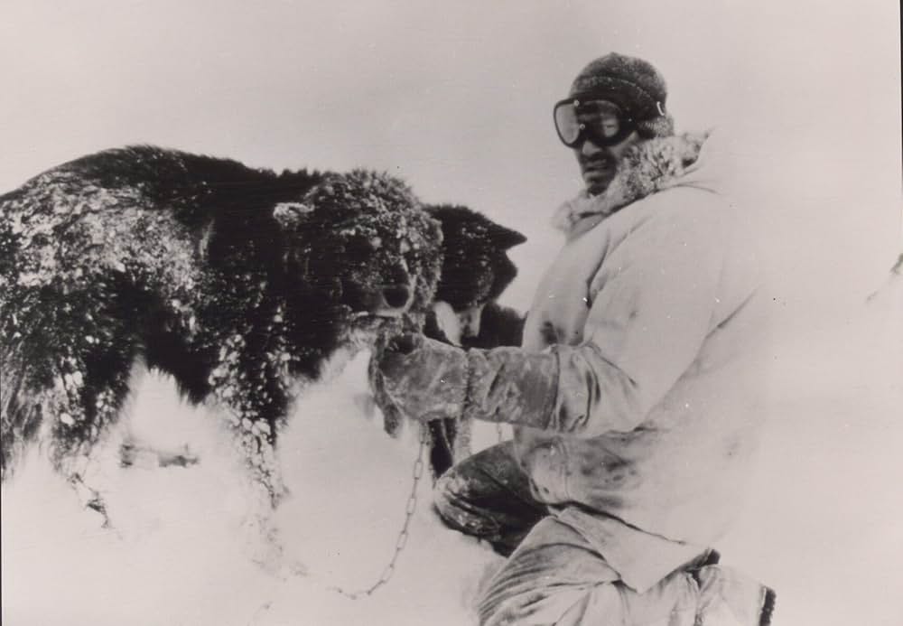 南極物語の画像