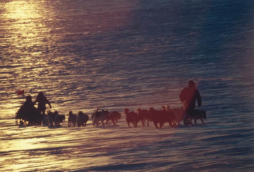 南極物語の画像