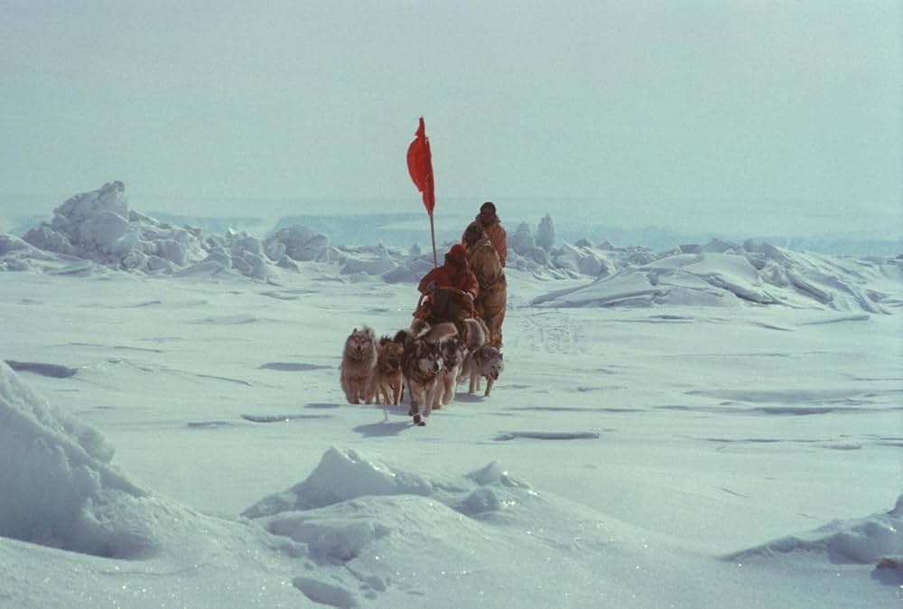 南極物語の画像