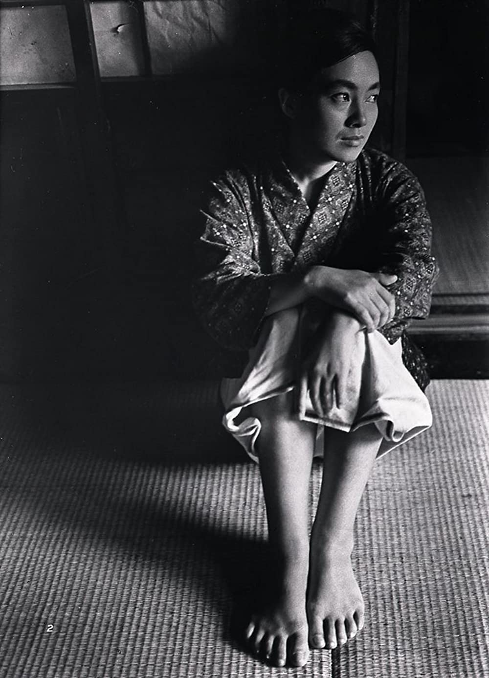 にっぽん昆虫記の画像