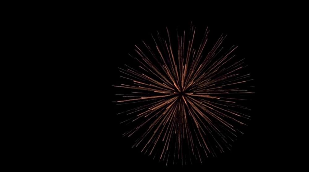 グッバイ、レーニン！の画像