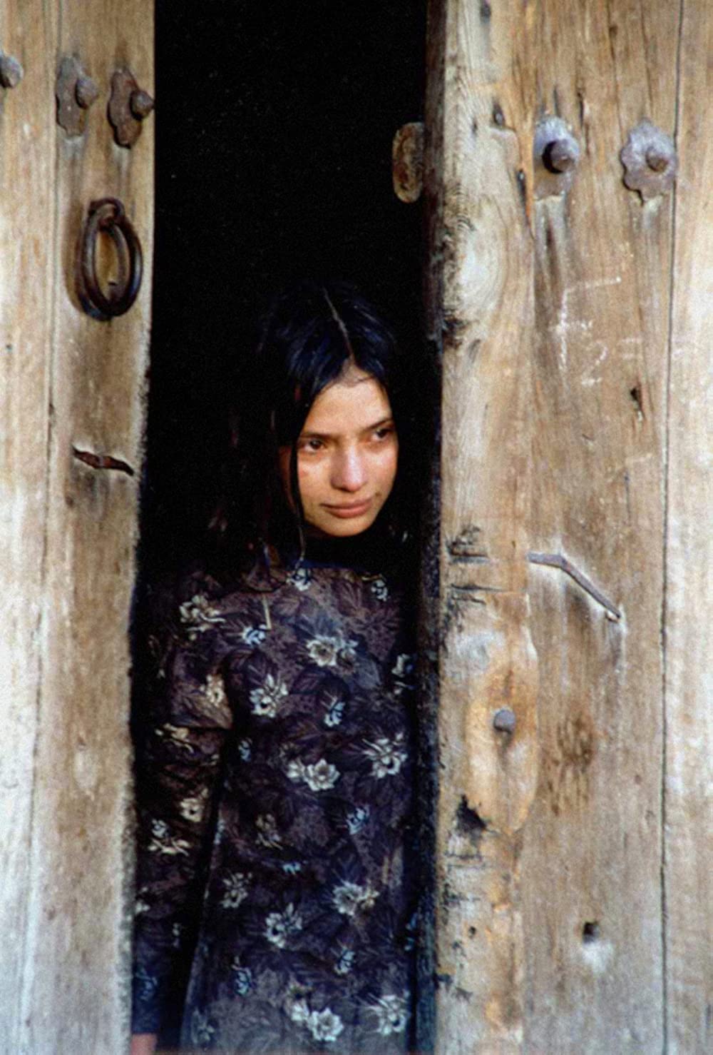 アフガン零年の画像