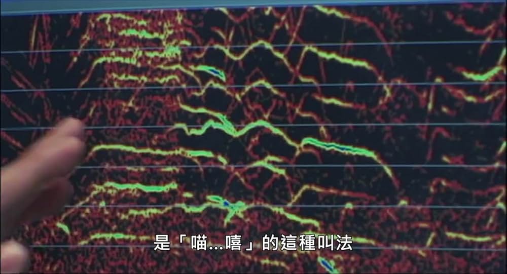 「ノロイ」の画像