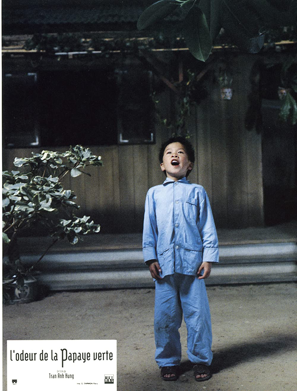 青いパパイヤの香りの画像